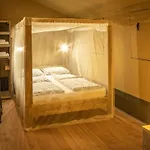 Holidays - Les 3 Cantons Saint-Antonin