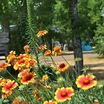 Holidays - Les 3 Cantons *