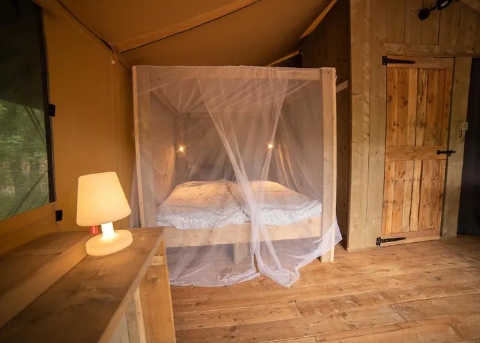 Holidays - Les 3 Cantons Lüks kamp alanı Saint-Antonin