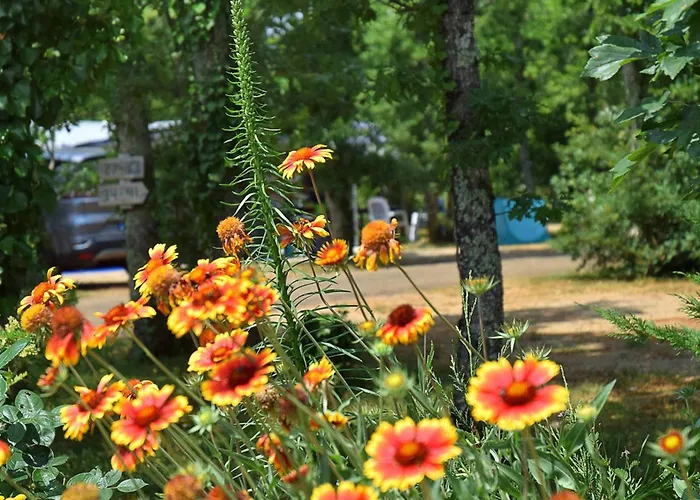 Holidays - Les 3 Cantons *