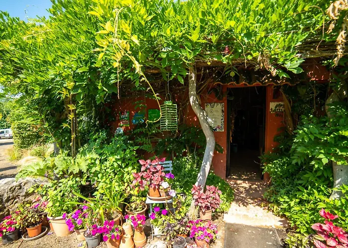 Holidays - Les 3 Cantons サン・タントナン